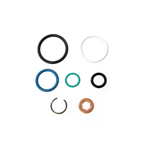 Ford PowerStroke 6.0L 2003-2007 F Series, Excursion and 2004-2010 E Series Injector Seal Kit - Diesel Parts Canada